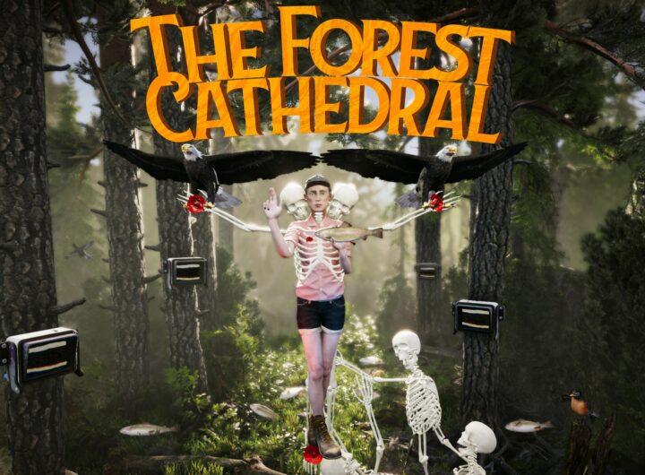 The Forest Cathedral main