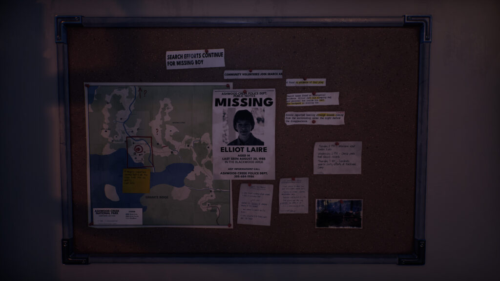 Radiolight is out now press 