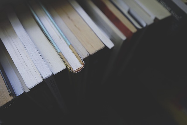 Why Editing Is Essential for a Successful Book Launch
