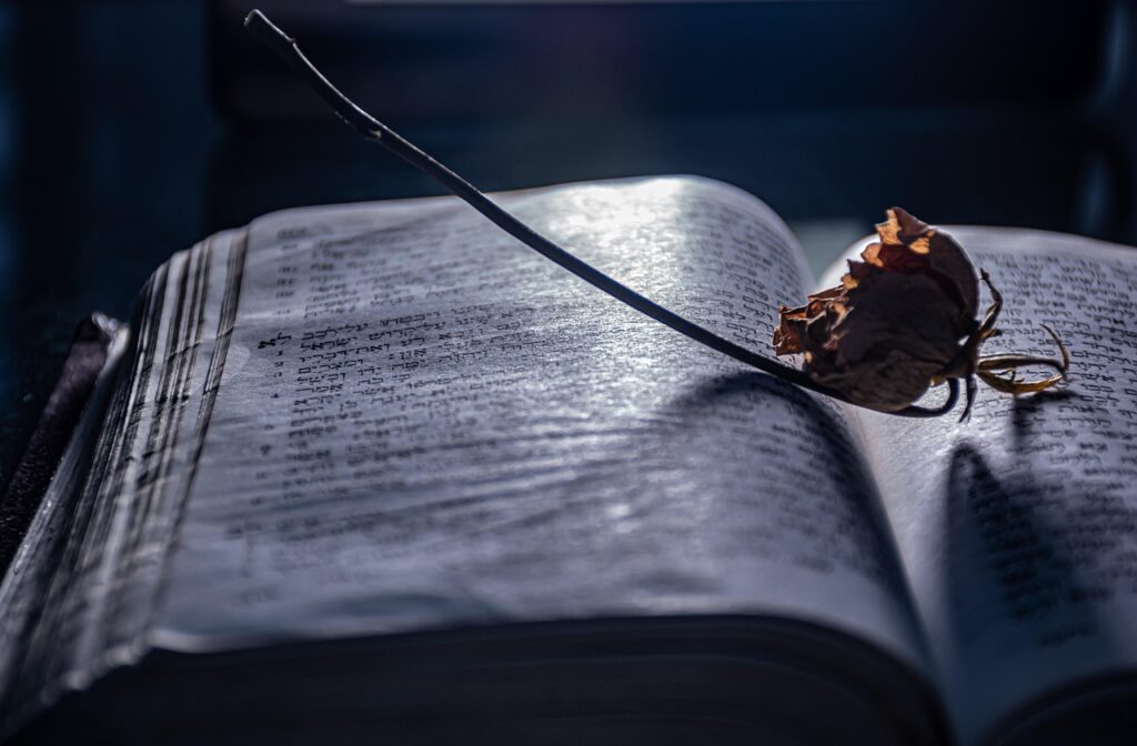 FAQ Do you help with preorders