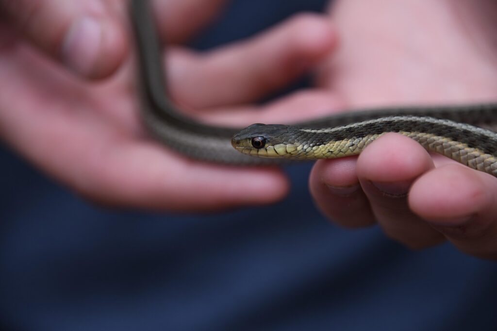 Tapping into Personal Phobias 