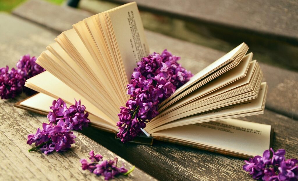 How to Write Strong Opening Chapters That Hook Readers 2 How to Write Strong Opening Chapters That Hook Readers